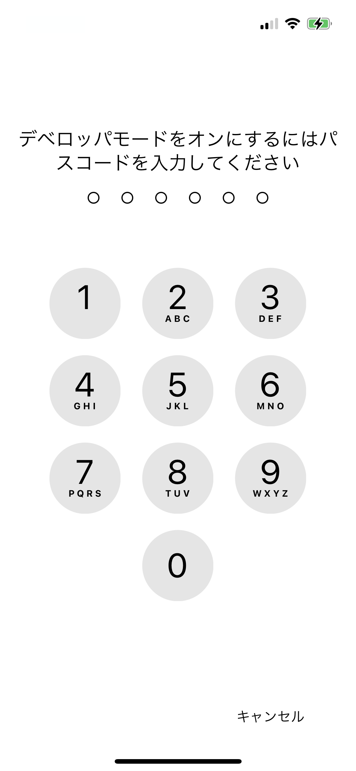iPhone・iPad の Developer Mode(デベロッパモード)を有効にする方法 7