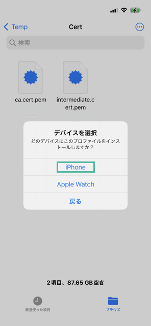 iPhone に中間 CA 証明書とルート CA 証明書をインストールして信頼する方法 2